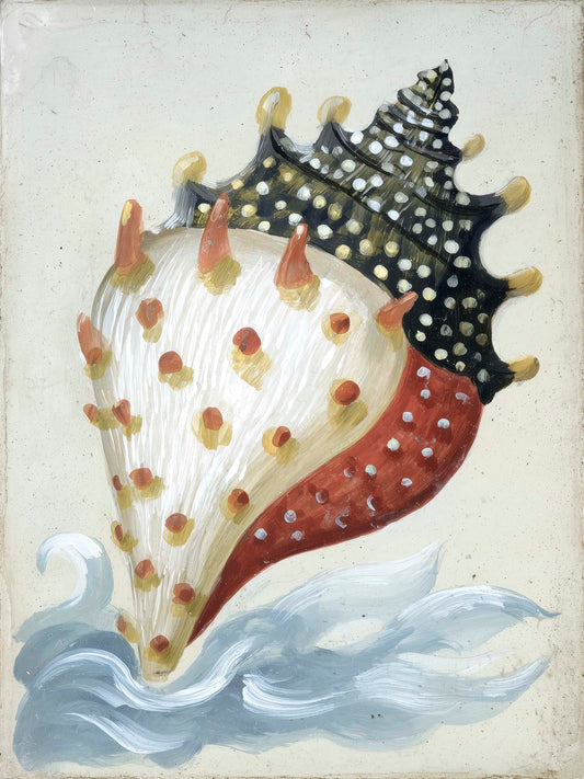 Ocean's Token